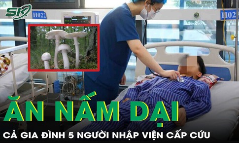 Ăn nấm dại, cả gia đình 5 người phải nhập viện cấp cứu