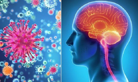 Bị bệnh truyền nhiễm cấp t&#237;nh n&#227;o m&#244; cầu x&#226;m lấn, nguy cơ tử vong cao