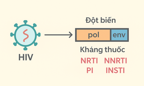 Hiểu đ&#250;ng về kh&#225;ng thuốc HIV v&#224; c&#225;ch ph&#242;ng ngừa