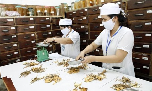 Thủ tướng chỉ đạo to&#224;n diện ph&#225;t triển y học cổ truyền Việt Nam trong giai đoạn mới