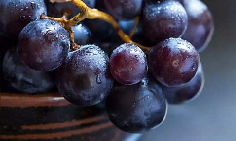 10 loại tr&#225;i c&#226;y gi&#250;p giải độc gan 