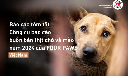 Trộm cắp thú cưng là hành vi bị báo cáo nhiều nhất tại Việt Nam