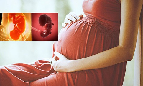 T&#225;c động thần kinh của bệnh đ&#225;i th&#225;o đường thai kỳ đối với mẹ v&#224; con
