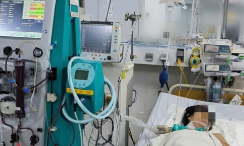 ‘Hồi sinh’ nhiều bệnh nh&#226;n nguy kịch nhờ kỹ thuật lọc m&#225;u li&#234;n tục v&#224; hạ th&#226;n nhiệt