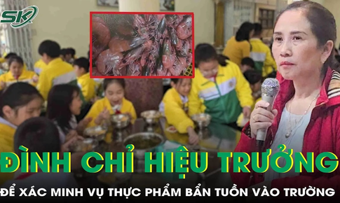 Sau vụ thực phẩm bẩn tuồn v&#224;o trường tiểu học ở L&#226;m Đồng, Hiệu trưởng bị đ&#236;nh chỉ để x&#225;c minh