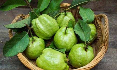 9 lợi ích sức khỏe của quả ổi