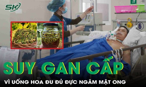 Uống hoa đu đủ đực ng&#226;m mật ong, người đ&#224;n &#244;ng phải cấp cứu v&#236; suy gan cấp