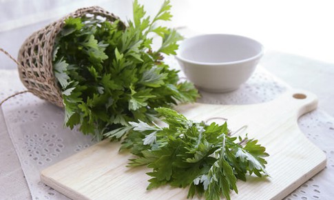 Ngải cứu – B&#237; quyết an thai hiệu quả m&#224; kh&#244;ng phải ai cũng biết