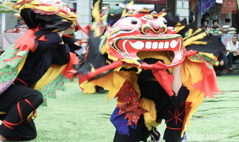 Độc đáo màn múa Sư tử mèo