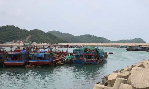 Bão số 7: Quảng Ninh tạm ngừng cấp phép tàu ra khơi một số khu vực biển từ 11h trưa 8/9