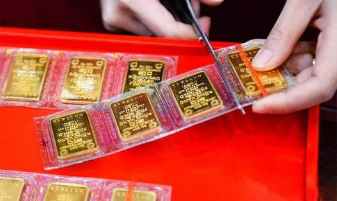 Giá vàng hôm nay ngày 8/9 quay đầu giảm