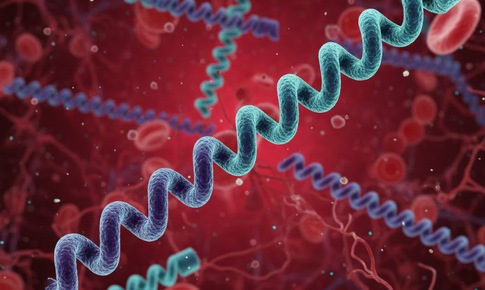 5 câu hỏi thường gặp nhất về bệnh giang mai