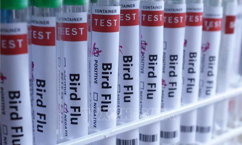 Australia cảnh báo chủng cúm mới lây lan mạnh