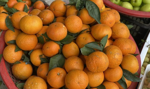 Tiểu thương “hé lộ” về nguồn gốc của một loại cam quen thuộc được người tiêu dùng Việt tiêu thụ mỗi ngày