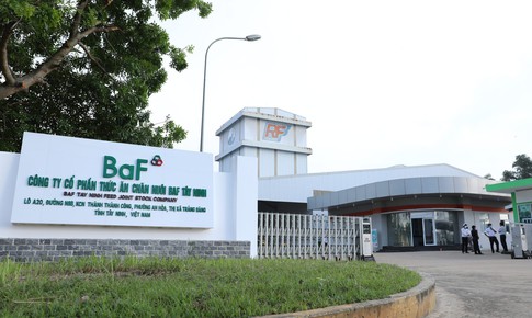 AGR khuyến nghị mua đối với cổ phiếu BAF, BSI và TCB