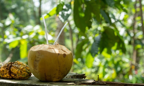 Cách giảm axit uric đơn giản tại nhà