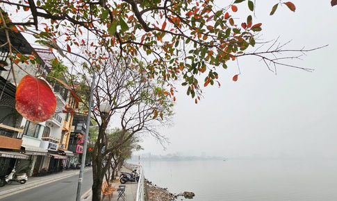 Sáng sớm, nhiều nơi vùng núi Bắc Bộ rét dưới 10 độ C