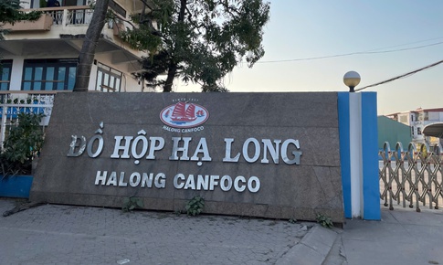 Động thái mới sau vụ phát hiện hơn 130 tấn thịt lợn nhiễm dịch tả châu Phi ở Hải Phòng