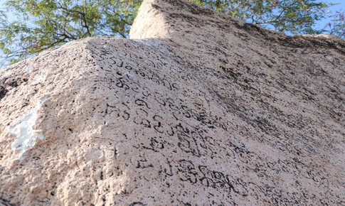Tấm bia đá khắc chữ Chăm cổ phơi nắng gió giữa cánh đồng cần được bảo tồn