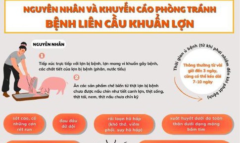 Ngành Y tế khuyến cáo thay đổi thói quen ăn uống để phòng liên cầu lợn
