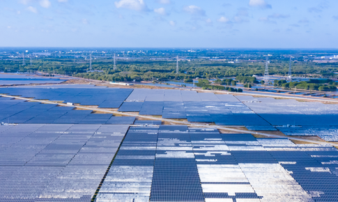 Điện mặt trời Trung Nam Trà Vinh bị phạt vì không công bố thông tin theo quy định pháp luật