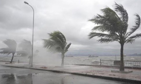 Bão xuất hiện ngay từ đầu tháng 1 có bất thường?