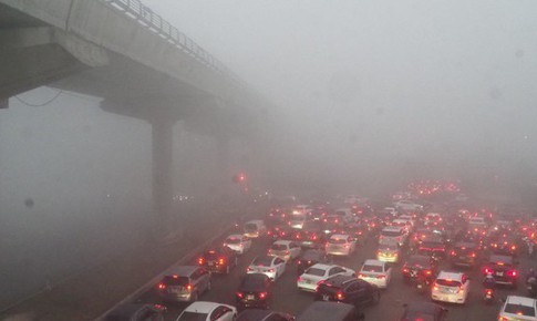 Diệp lục – 'điểm cộng xanh' cho người sống giữa ô nhiễm đô thị