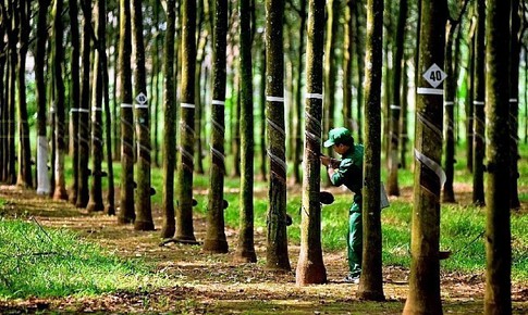 Cổ phiếu PHR được khuyến nghị mua