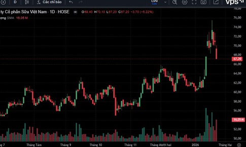 Vì sao cổ phiếu VNM bị bán tháo?