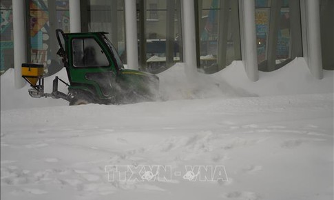 Bão tuyết lịch sử tại Mỹ: Cú sốc toàn diện từ kinh tế đến hạ tầng