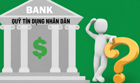 Kết luận thanh tra Quỹ Tín dụng Nhân dân Phường 3, tỉnh Vĩnh Long