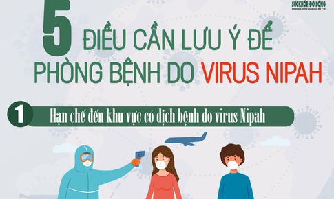 [Infographic] - 5 điều cần lưu ý để phòng bệnh do virus Nipah