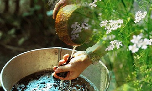 Tắm nước mùi già có tác dụng gì?