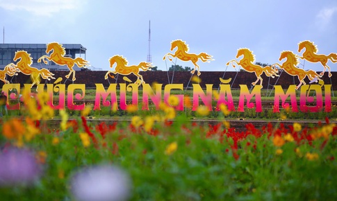 Choáng ngợp hình ảnh hàng vạn chậu hoa kết thành đóa sen khổng lồ ở Huế