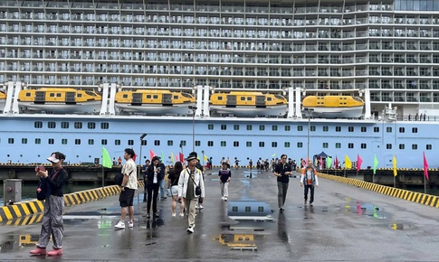 Cảng biển, sân bay ở Huế triển khai phòng chống nguy cơ xâm nhập virus Nipah