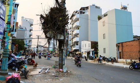 Dãy cột điện ‘án ngữ’ giữa tuyến đường hơn nghìn tỷ đồng ở TPHCM