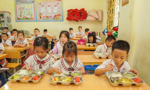 WHO vào cuộc chuẩn hóa bữa ăn học đường