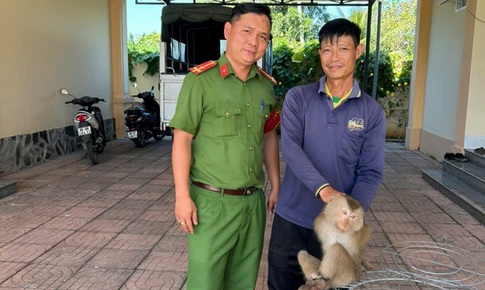 Nhiều động vật hoang dã nguy cấp, quý hiếm được thả về với tự nhiên