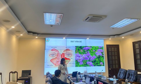 Nghiệm thu thành công đề tài nghiên cứu dung dịch hỗ trợ điều trị viêm mũi xoang từ cây ngũ sắc