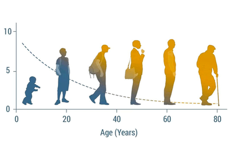 NMN: nền tảng sức khỏe theo góc nhìn khoa học