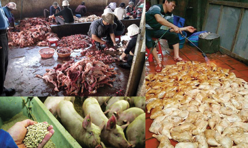 Những tác hại kinh hoàng với sức khoẻ khi dùng thực phẩm bẩn