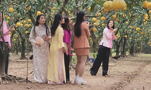 ‘Check-in', săn lùng đặc sản tại thủ phủ bưởi Diễn