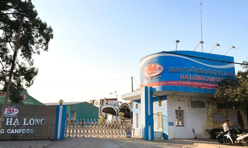 Công ty CP Đồ hộp Hạ Long lên tiếng về sự cố nguyên liệu vi phạm an toàn thực phẩm