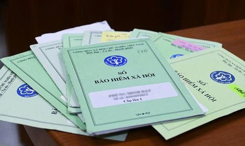 Hơn 135.000 đơn vị chậm đóng bảo hiểm, TPHCM yêu cầu xử lý quyết liệt