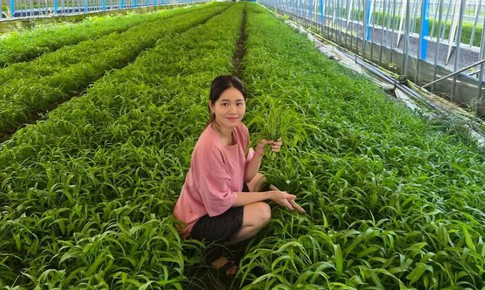 Nàng dâu Việt trồng rau muống tại Hàn Quốc kiếm trăm triệu/tháng, lên sóng truyền hình KBS