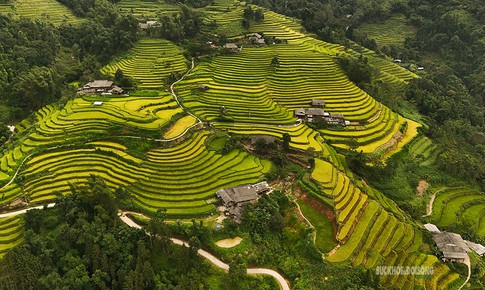 Mãn nhãn ruộng bậc thang Nấm Dẩn chuyển sắc vào mùa lúa chín