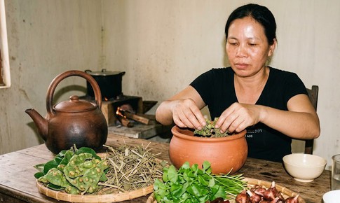 Bài thuốc có lá sung giúp thanh nhiệt