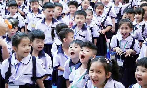 Phó Thủ tướng yêu cầu không sắp xếp trường học cơ học, cào bằng