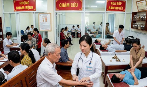 Chiến lược quốc gia phát triển nền y học cổ truyền Việt Nam giai đoạn 2030-2045