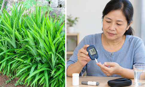 Người bệnh đái tháo đường uống nước lá dứa có giúp kiểm soát đường huyết?